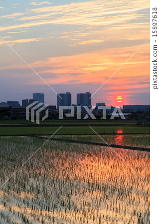 礦井Numata稻田的晚上風景 礦井Numata稻田的晚上風景 15897618