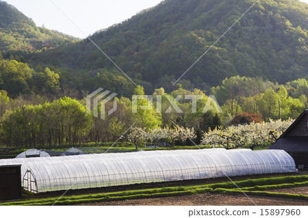 早春的農民 早春的農民 15897960