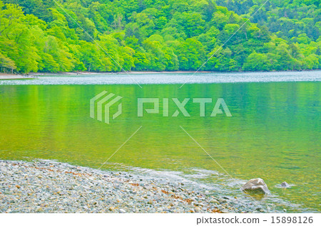 Fresh green lakeside Fresh green lakeside 15898126