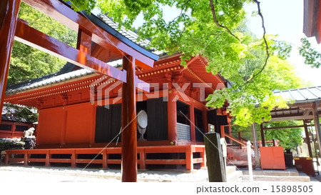 神社的兩個有鬆神社2 15898505