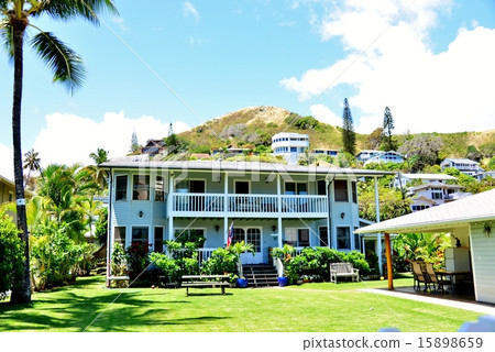 Holidays in Hawaii 15898659