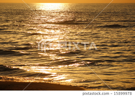 The golden sea The golden sea 15899978