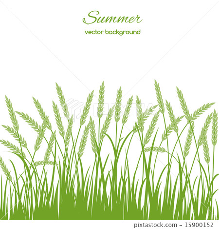 Spring card with grass 15900152