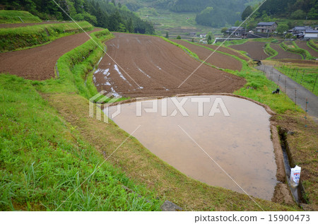 水稻種植前水稻梯田的風景 水稻種植前水稻梯田的風景 15900473