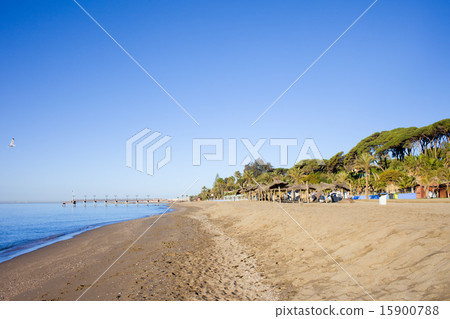 Marbella Beach on Costa del Sol Marbella Beach on Costa del Sol 15900788