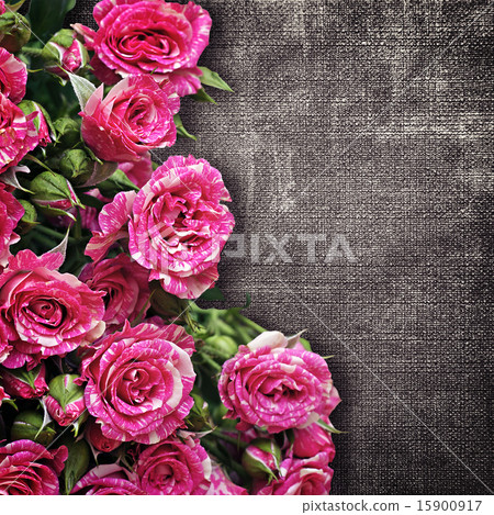bouquet of pink roses on a dark fabric background 15900917