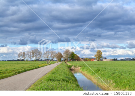 Dutch farmland with clouded sky 15901153
