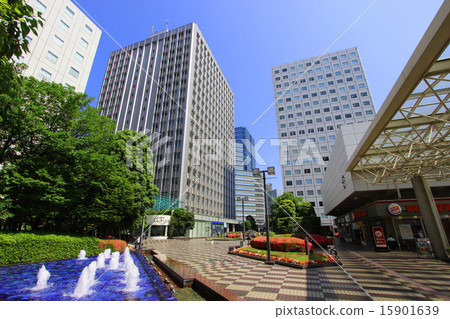 大崎新城 15901639