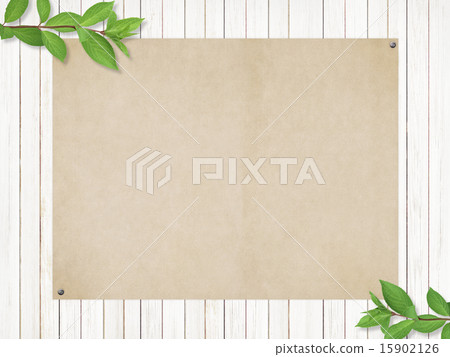 Natural background - tree - leaves 15902126