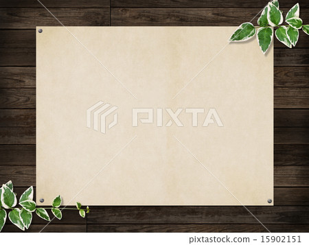 自然本底 - 樹 - 葉子 自然本底 - 樹 - 葉子 15902151