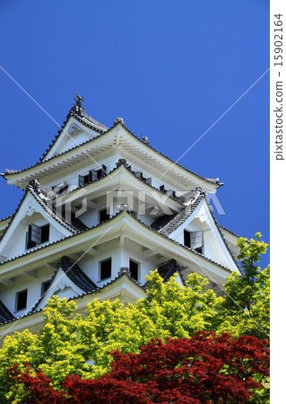 Gujo Hachiman Castle 15902164