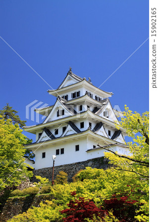 Gujo Hachiman Castle 15902165