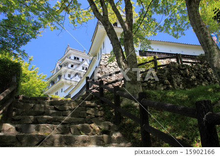 郡上八幡城 15902166