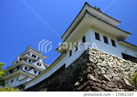 郡上八幡城 15902167