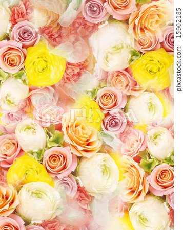 Natural background - rose Natural background - rose 15902185