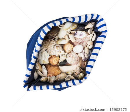 Sea shells in blue and white sailor bag Sea shells in blue and white sailor bag 15902375