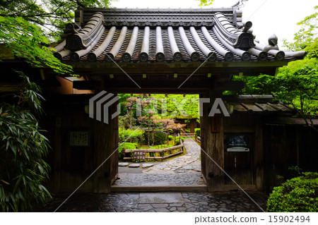 在Hosponorin 在Hosponorin 15902494