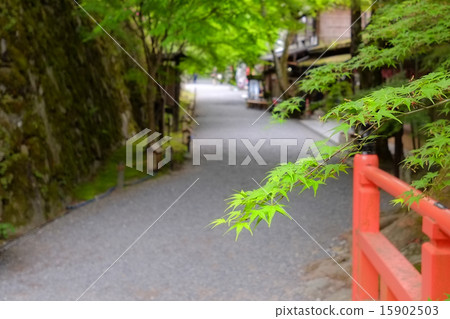 在Hosponorin 15902503