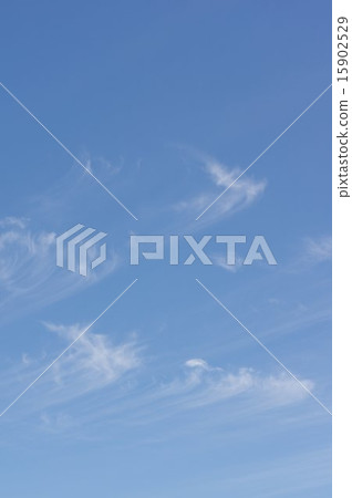 卷雲（絲雲） 15902529