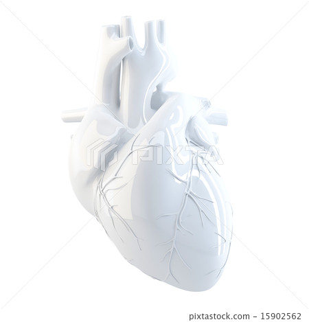 Human Heart. 3d render. Isolated, clipping path. 15902562
