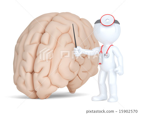 Doctor pointingat human brain. Doctor pointingat human brain. 15902570