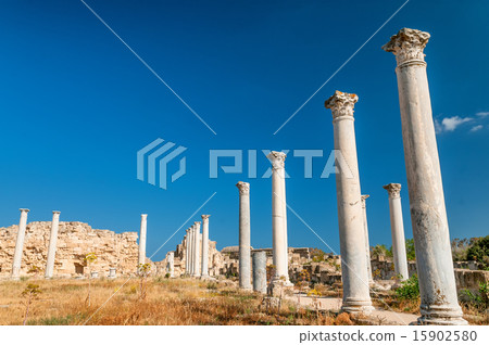 Ruins of ancient Salamis city. Cyprus 15902580