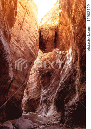 Avakas Gorge. Paphos District, Cyprus 15902599