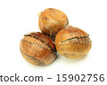 sweet chestnut 15902756