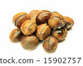 sweet chestnut 15902757