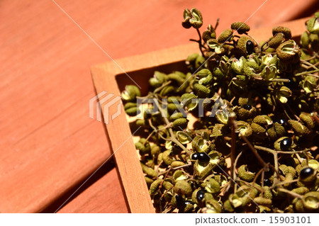 Dried real pepper Dried real pepper 15903101