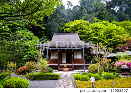 At Ikkoin Temple 15903297