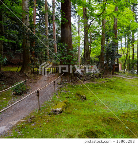 在Ikkoin寺 15903298