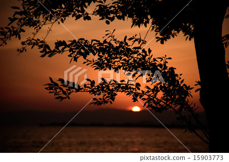 琵琶湖的信陽 15903773