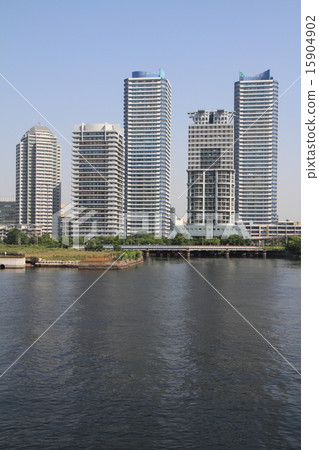 橫濱港未來21的高層公寓團 15904902