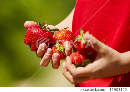 Fresh strawberries Fresh strawberries 15905123
