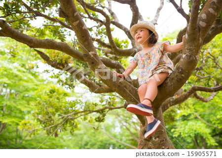 爬樹的女孩 15905571