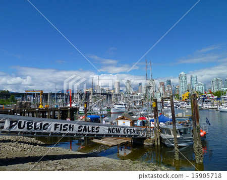 Fisherman's Wharf 15905718