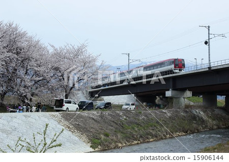 穿過櫻花季節的火車 15906144