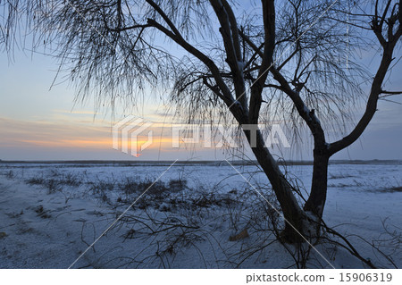 winter sunset 15906319
