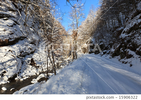 rustic road in winter 15906322