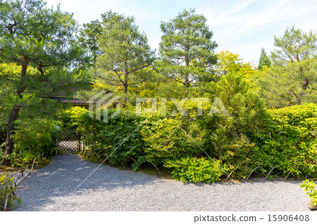 Gwan-ji的新鮮綠色 15906408