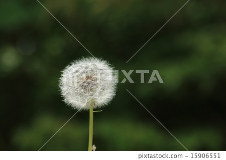 Warm weather Warm weather 15906551