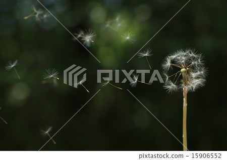 和我一起閒逛 15906552