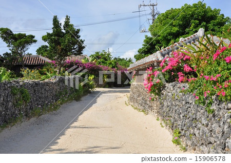 竹富島的小巷 15906578