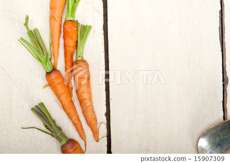 baby carrots baby carrots 15907309
