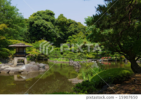 Stone lanterns of the waterside of the former Furukawa garden and irises Stone lanterns of the waterside of the former Furukawa garden and irises 15907650