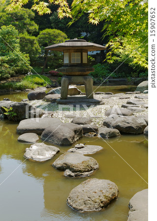 A fresh green on the stone lantern at the waterside and young leaves of the maple 15907652