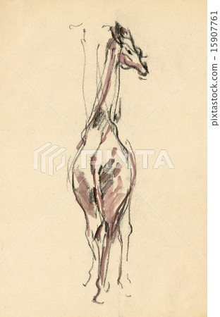 an hand made picture - giraffe 15907761