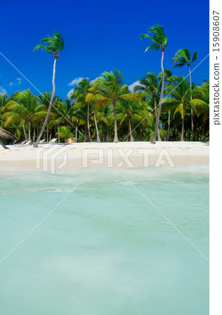 tropical sea tropical sea 15908607