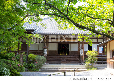 Junjoji在新鮮的綠色 15909327
